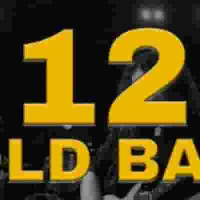 12 Gold Bars blurred poster image
