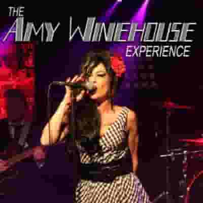 The Amy Winehouse Experience blurred poster image
