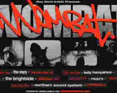 Wombat tickets blurred poster image