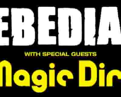 Jebediah with Special Guests Magic Dirt tickets blurred poster image