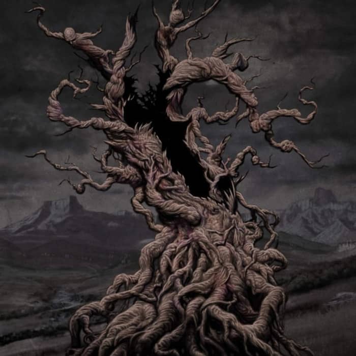 Vulvodynia cover image