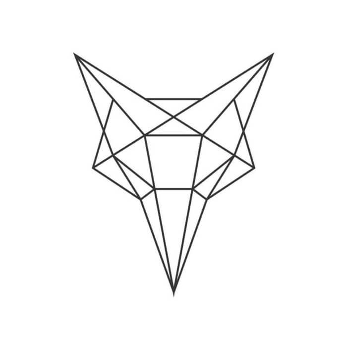 Shapeshifter cover image