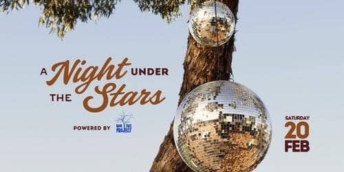A Night Under The Stars 2027 tickets