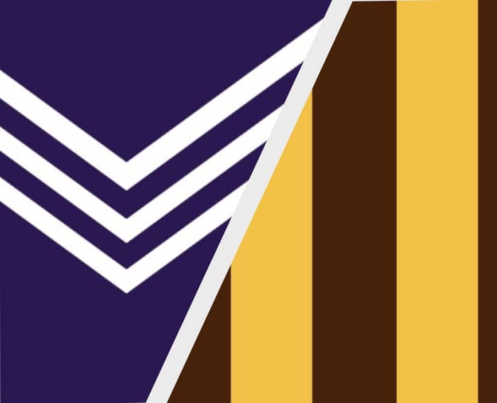 AFL Finals | Fremantle v Hawthorn tickets
