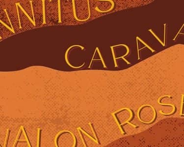 Caravan tickets