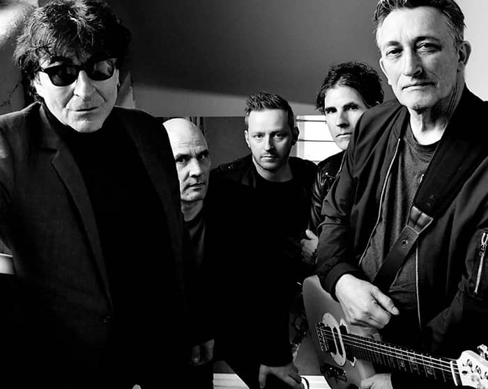 The Chameleons tickets