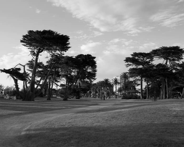 Catani Gardens events