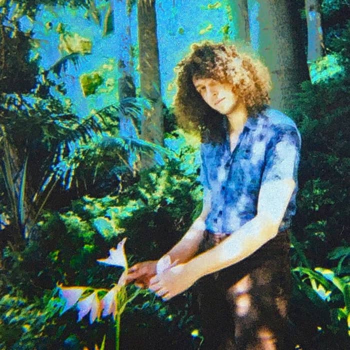 Vinyl Williams cover image