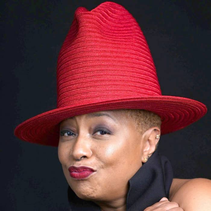 Lisa Fischer cover image