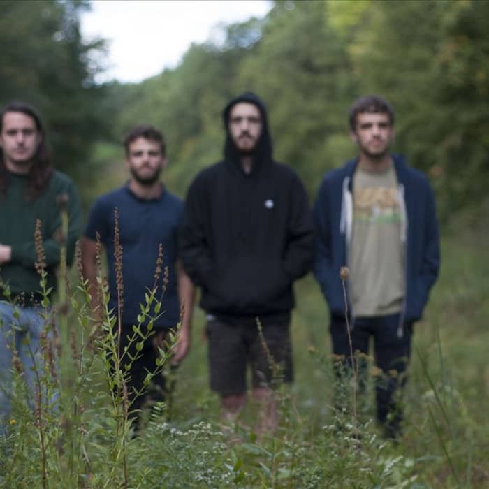 The Hotelier cover image