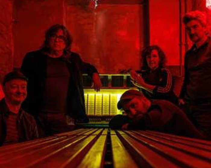 The Magnetic Fields tickets