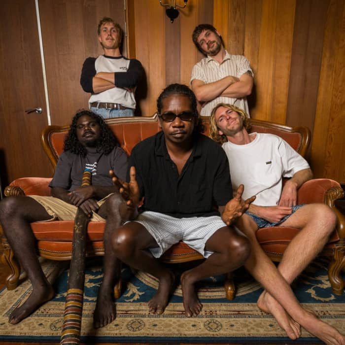 King Stingray cover image