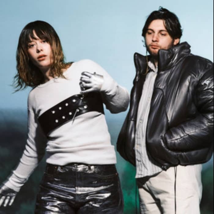 Silver Gore cover image