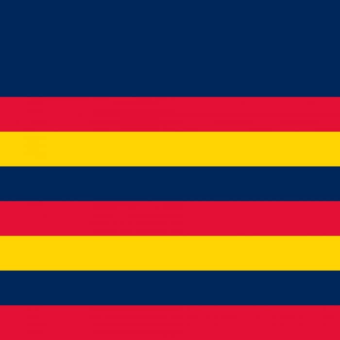 Adelaide Crows cover image