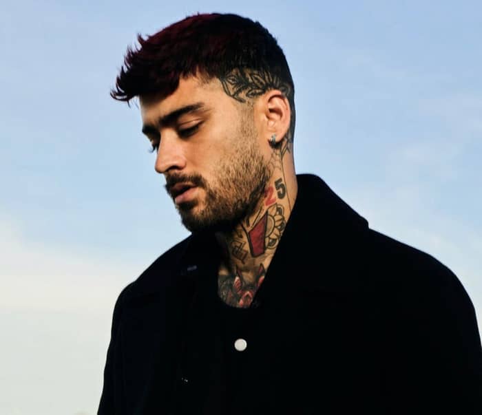 Zayn Malik cover image