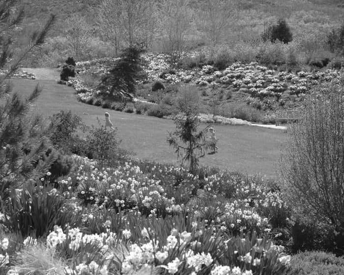 Red Butte Garden events