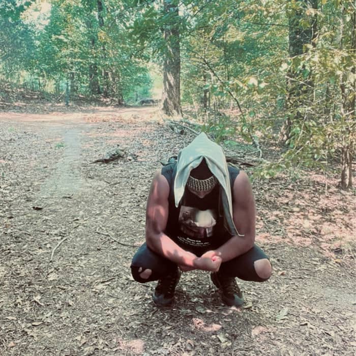 Demon Slayer cover image