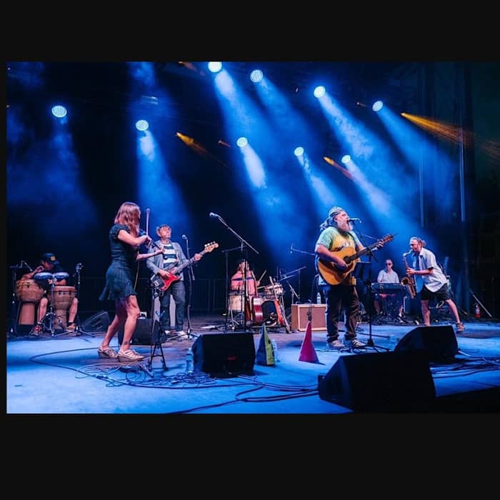 The Alpaca Gnomes cover image