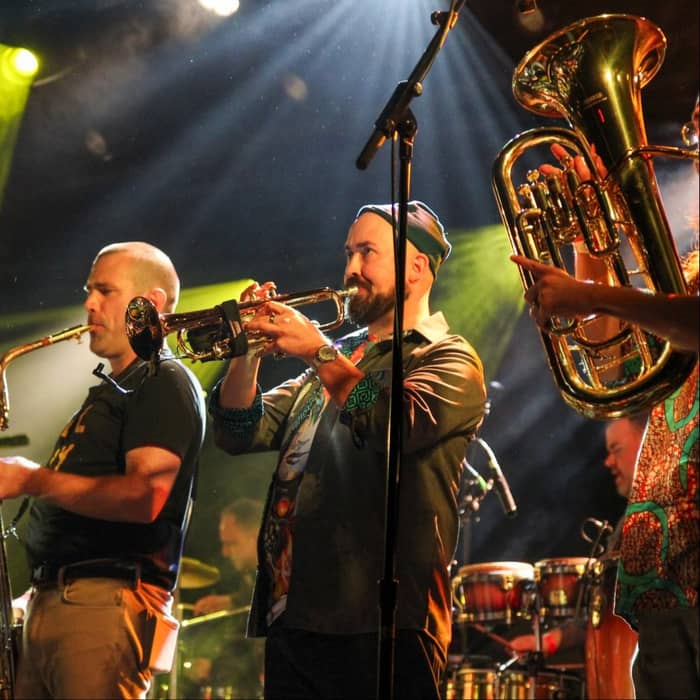 Afrosonics cover image