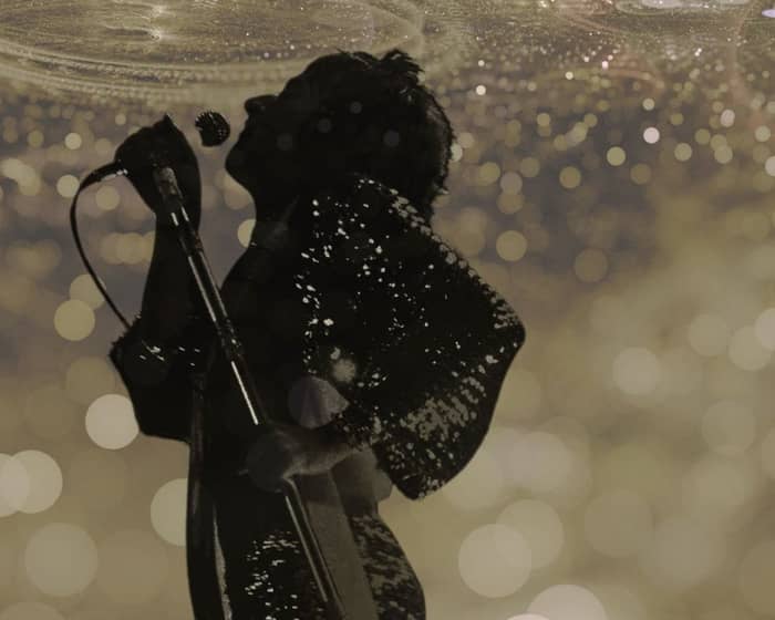 The UK Rod Stewart Show tickets