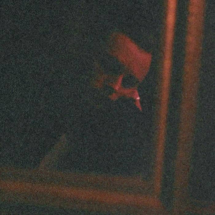 Puma Blue cover image