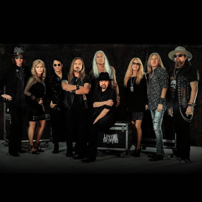 Lynyrd Skynyrd cover image
