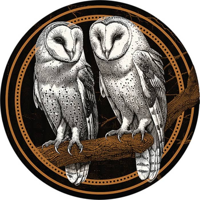 Thompson Square cover image