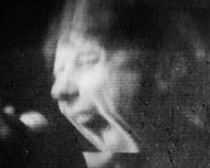 Octagon Centre events