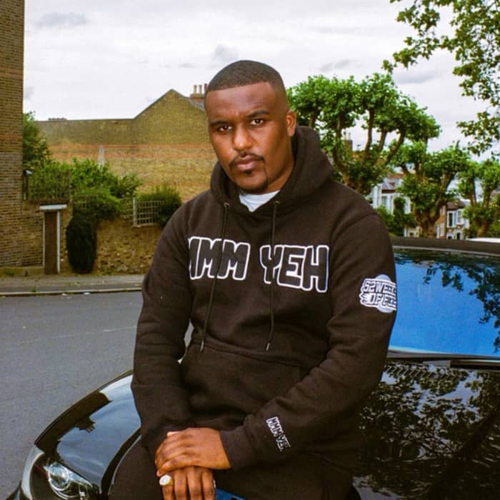 Novelist cover image