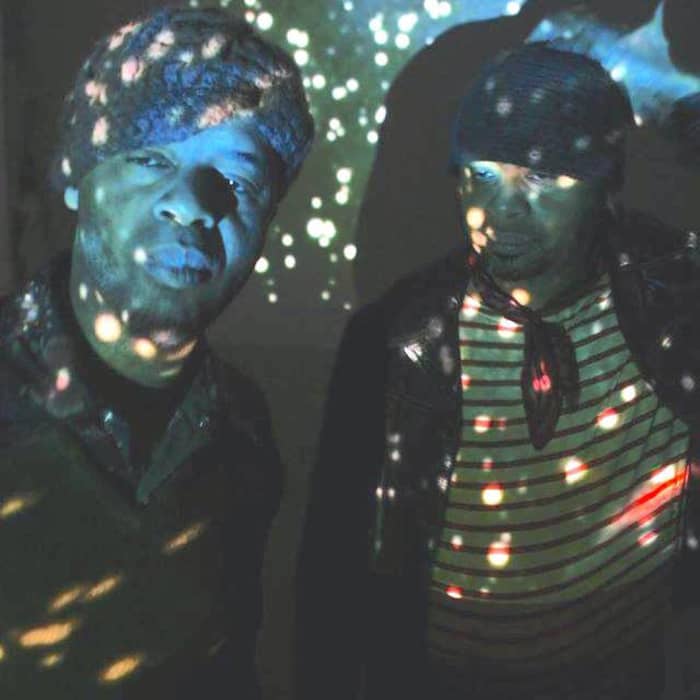 The Veldt cover image