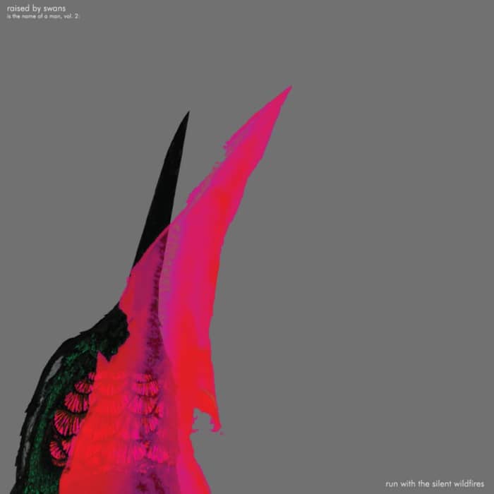 Raised By Owls cover image