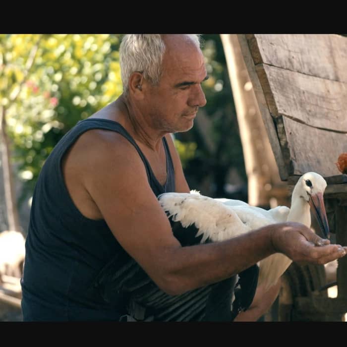 Tale of Silyan cover image