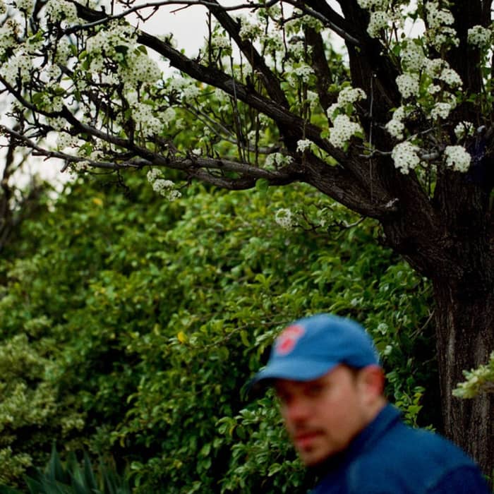 Jeff Rosenstock cover image