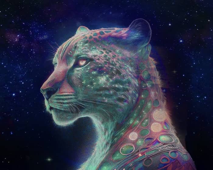 Basement Jaxx tickets