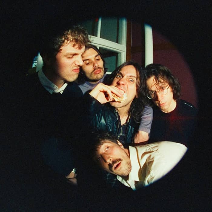 Post Animal cover image