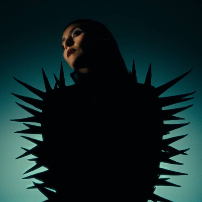 Paula Tape cover image