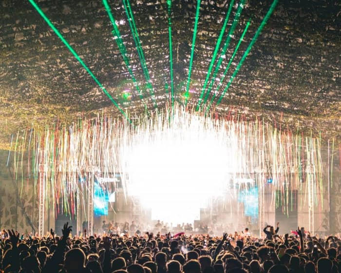 Mint Festival cover image