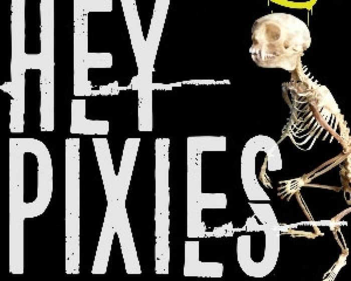 Hey Pixies tickets