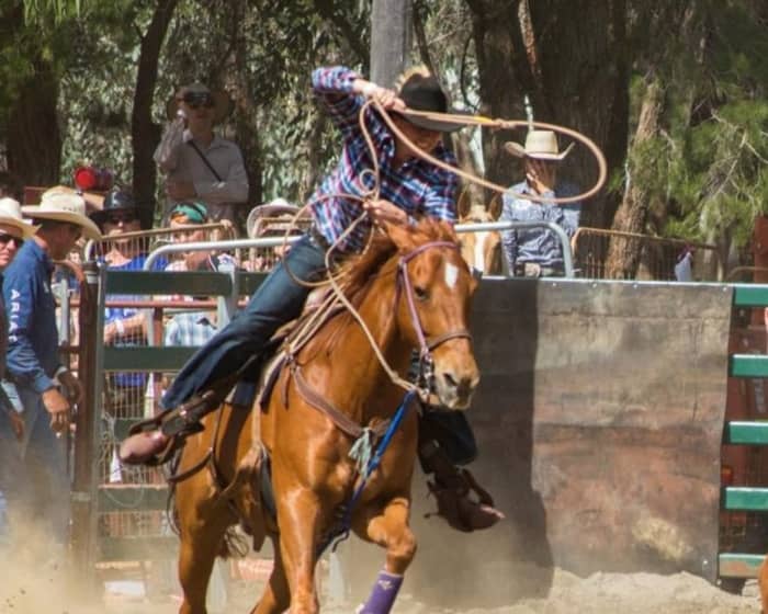 Boddington Lions Rodeo Complex events