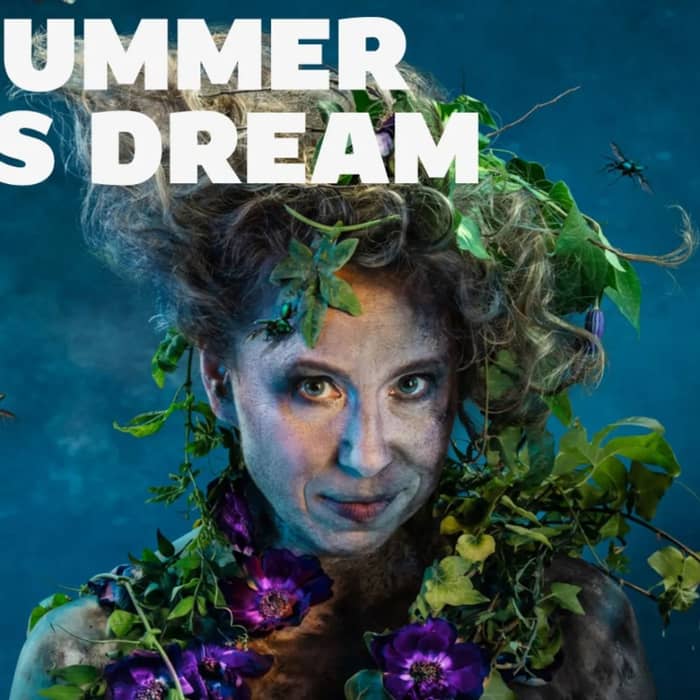 A Midsummer Night's Dream cover image
