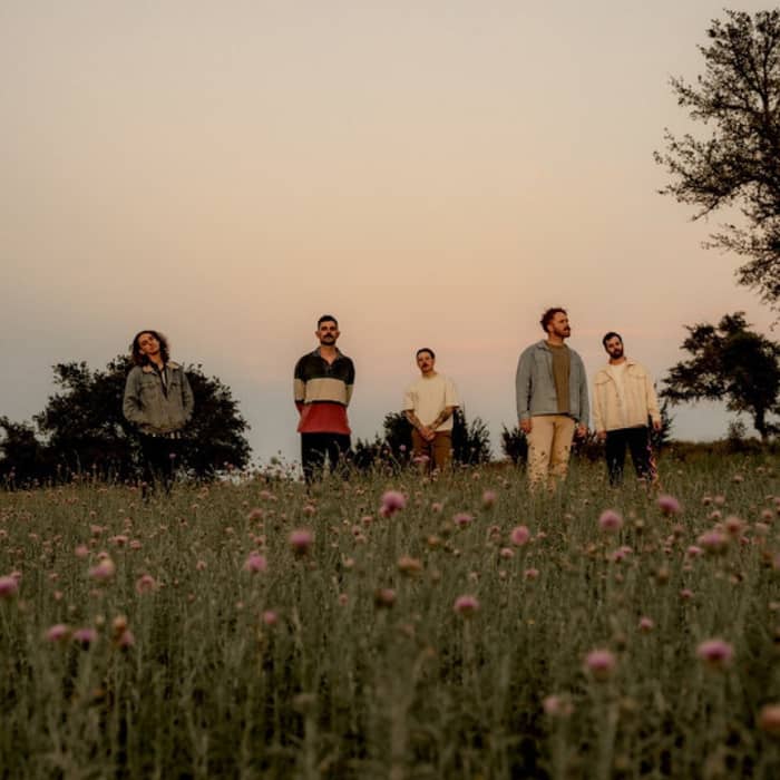 Night Cap cover image