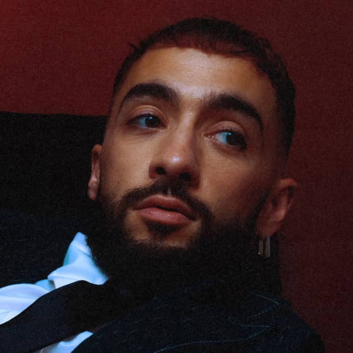 Sofiane Pamart cover image