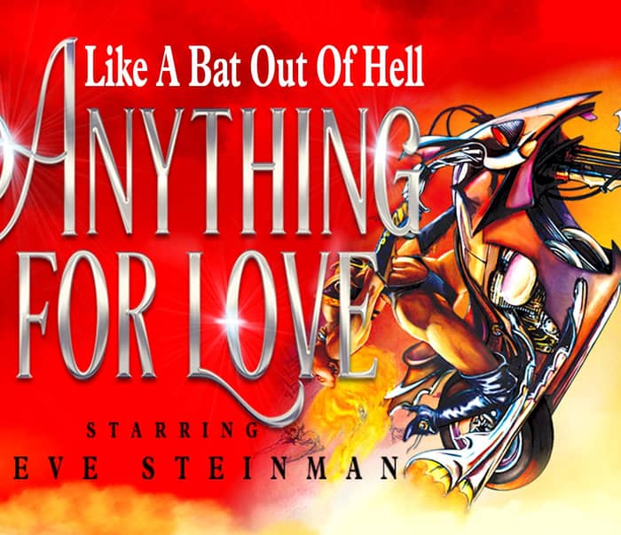 Steve Steinman Tribute Band cover image