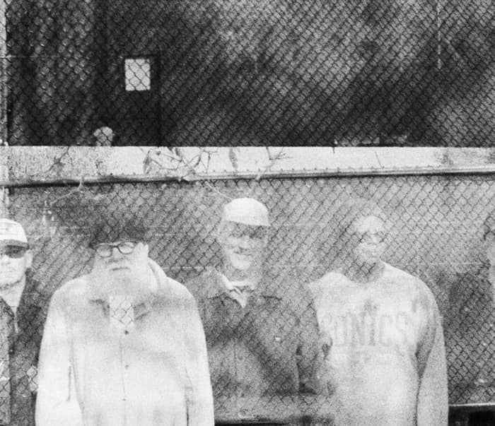 Tortoise cover image