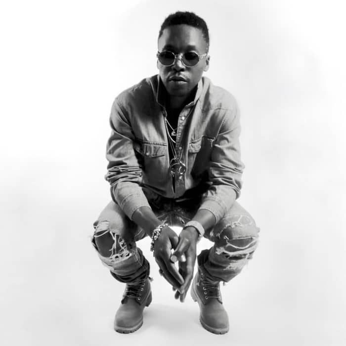 Lupe Fiasco cover image