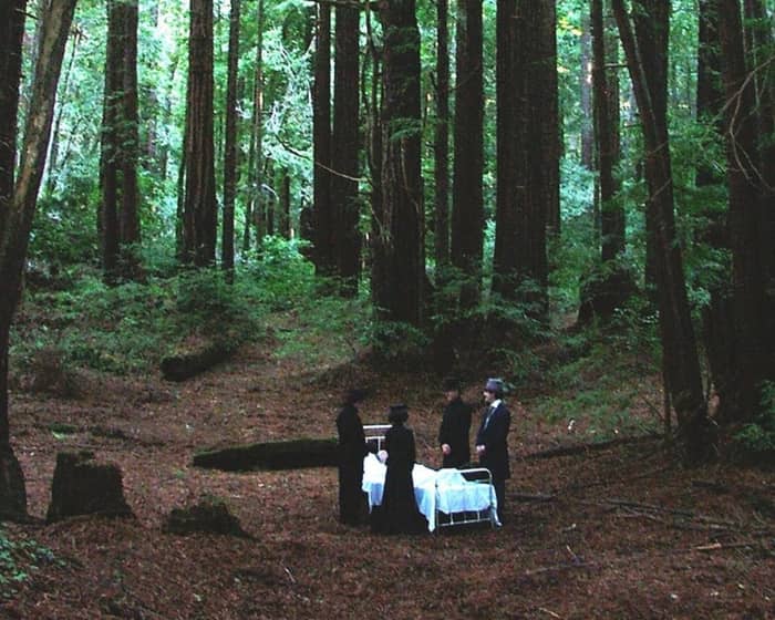 Sleepytime Gorilla Museum tickets