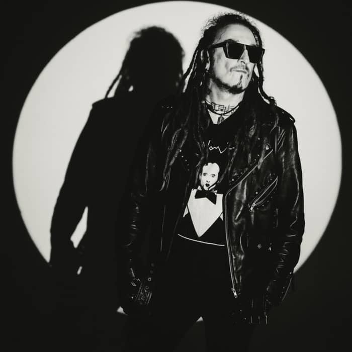 The Wildhearts cover image