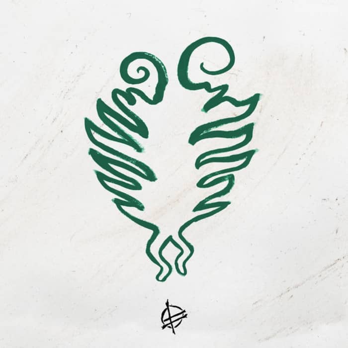 Fucked Up cover image