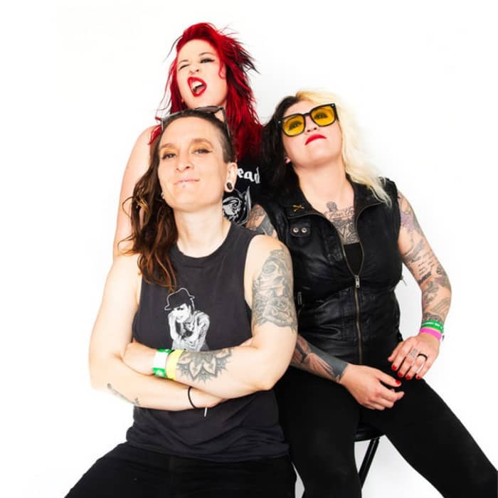 The Venomous Pinks cover image