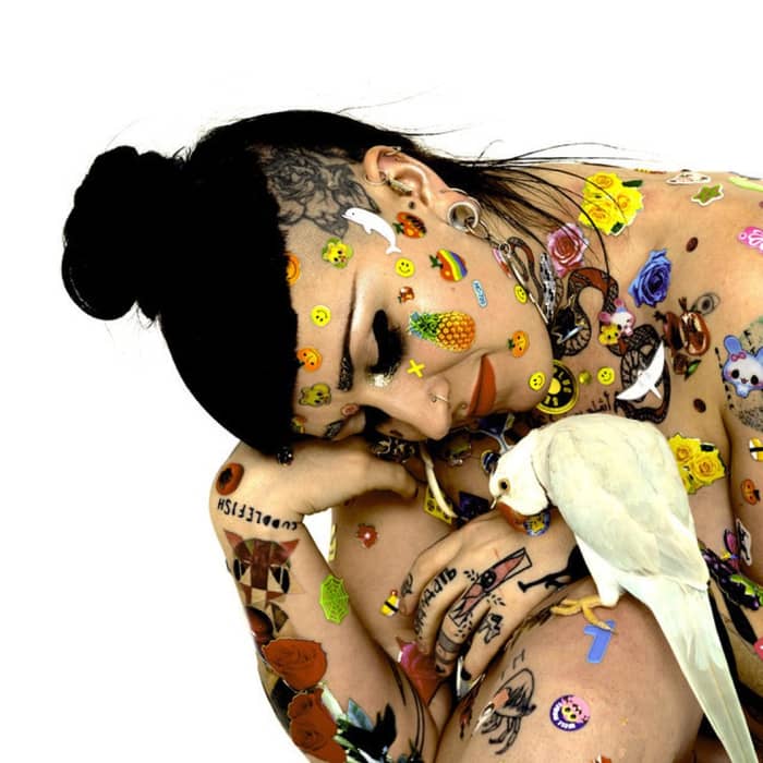 Nai Palm cover image